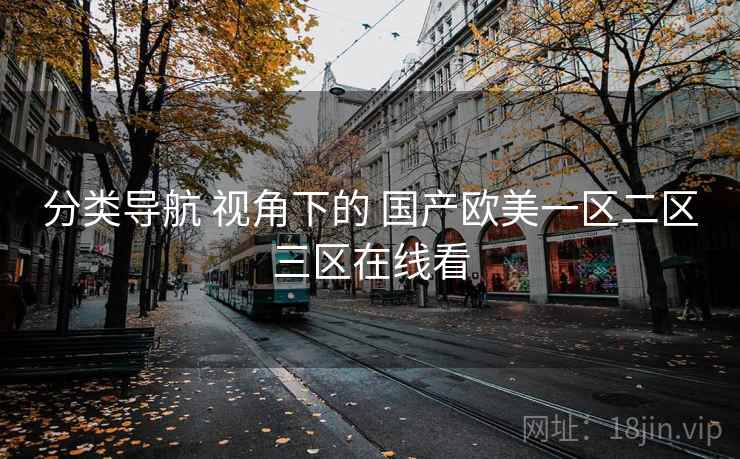 分类导航 视角下的 国产欧美一区二区三区在线看