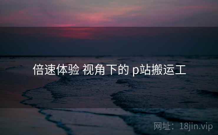 倍速体验 视角下的 p站搬运工