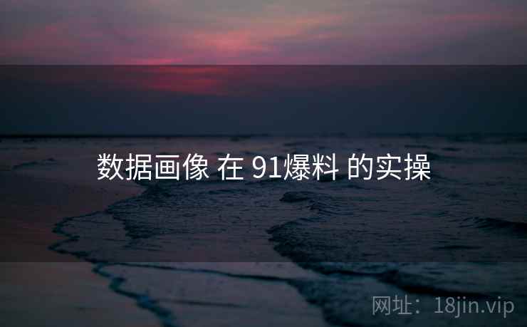 数据画像 在 91爆料 的实操